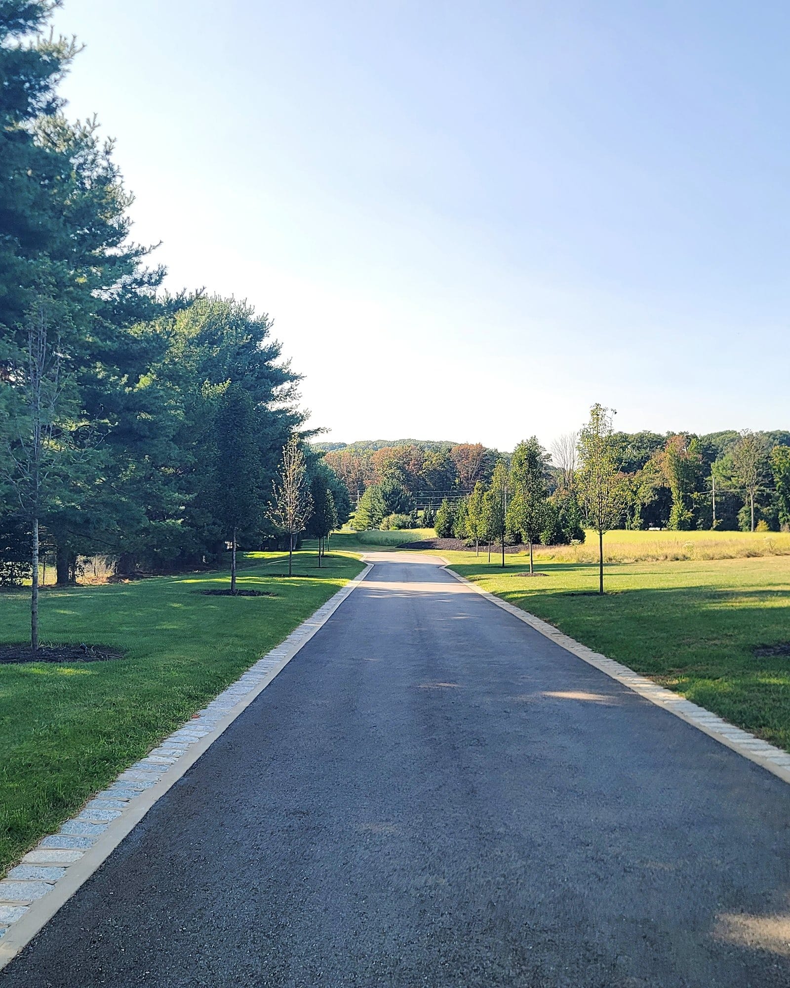 A private tree-lined drive leading toward a secluded estate